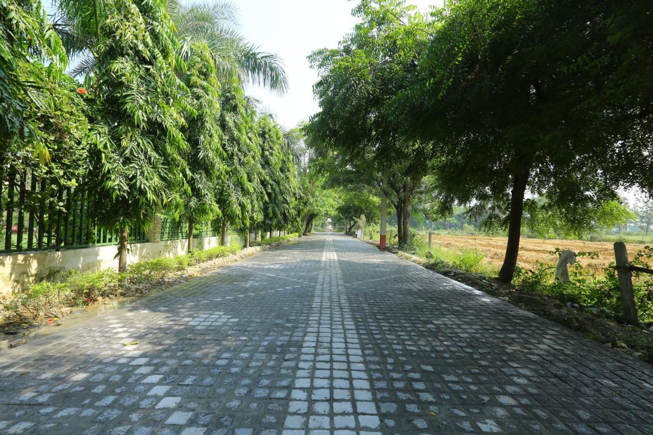 Mann The Palm Retreat Hotel Lucknow Exterior photo